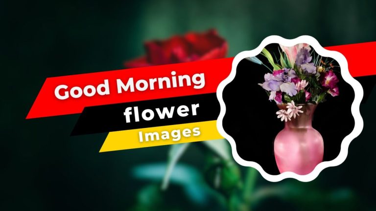 130+ BEAUTIFUL GOOD MORNING FLOWER